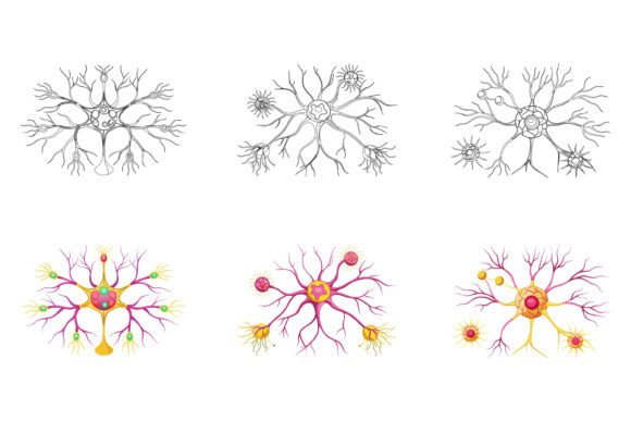 The Appeal and Utility of Round Flower Pattern Illustrations